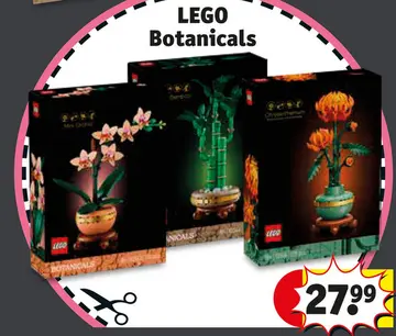 Offre: LEGO Botanicals