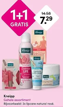 Aanbieding: Gehele assortiment