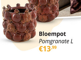 Aanbieding: Bloempot Pomegranate L