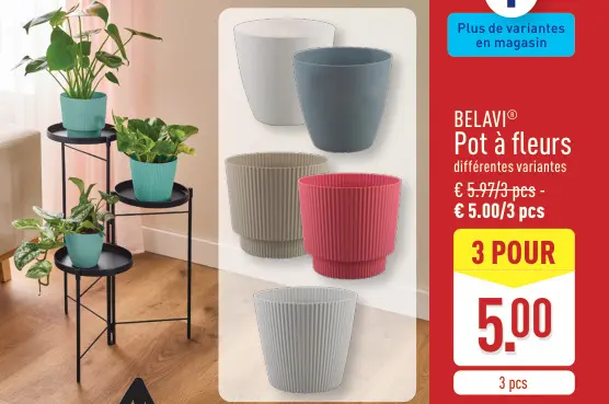 Offre: Pot à fleurs