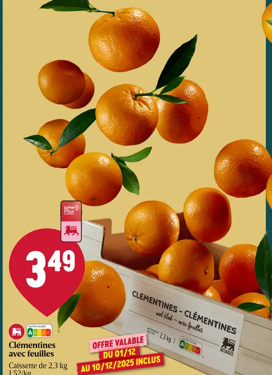 Offre: Clémentines avec feuilles