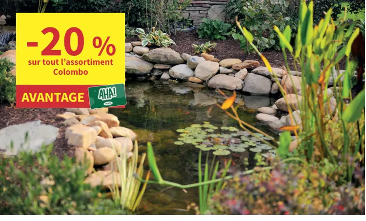 Offre: Assortiment colombo