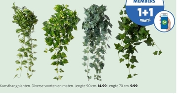 Aanbieding: Kunsthangplanten