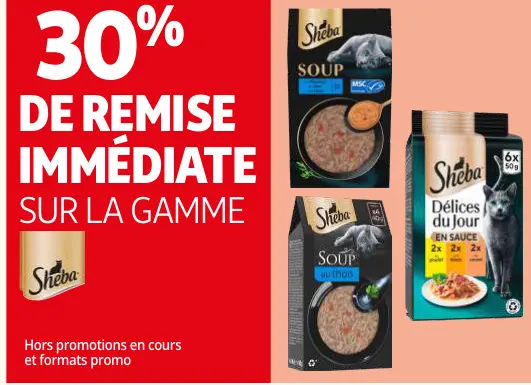 Offre: SOUP, Délices du Jour