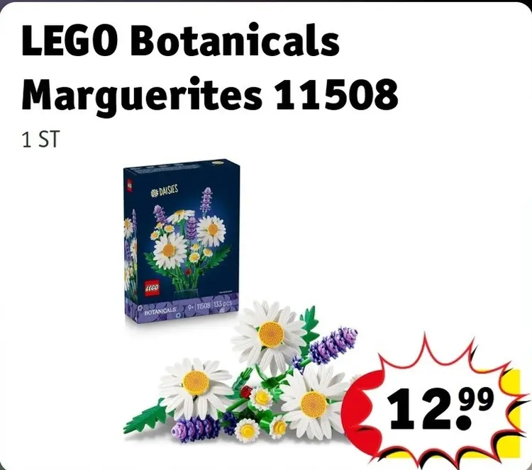 Offre: Botanicals Marguerites 11508