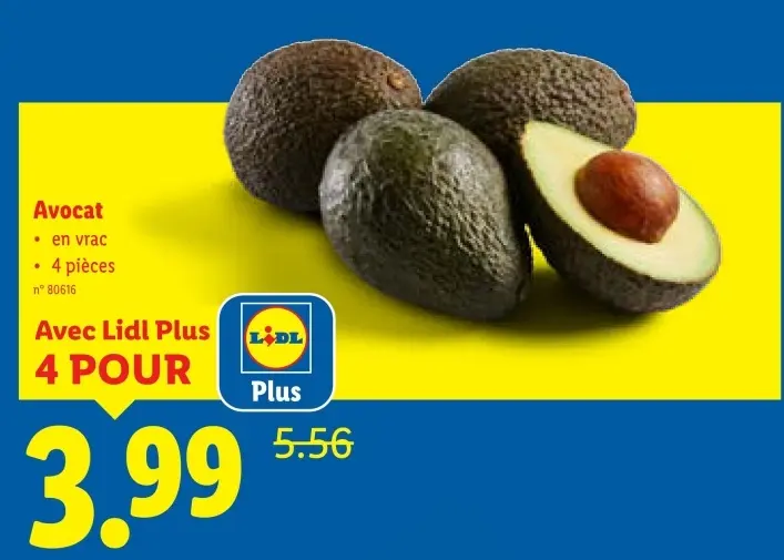 Offre: Avocat