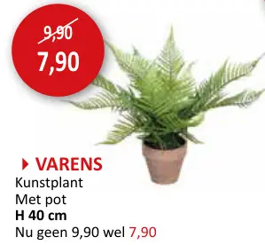Aanbieding: Kunstplant Varens H40cm