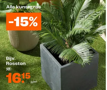 Aanbieding: Rosston