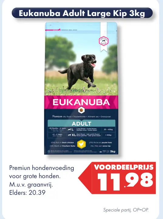 Aanbieding: Adult Large Kip