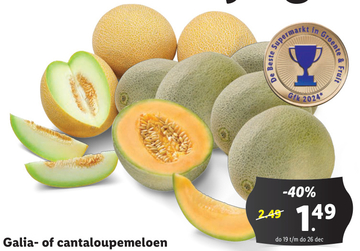 Aanbieding: Galia- of cantaloupemeloen