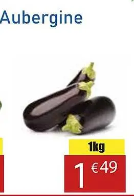 Aanbieding: Oued souss