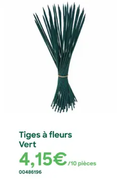 Offre: Tiges à fleurs