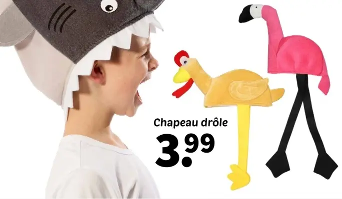 Offre: Chapeau drôle
