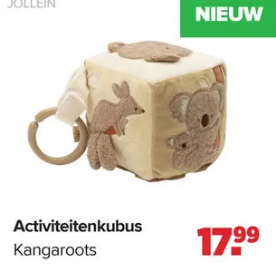 Promotie: Activiteitenkubus