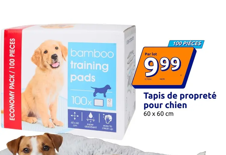 Offre: Tapis de propreté pour chien