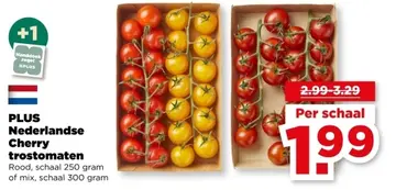 Aanbieding: Nederlandse Cherry trostomaten