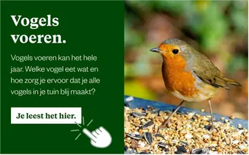 Aanbieding: Vogels voeren