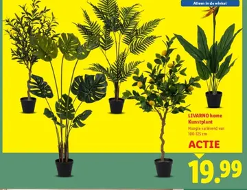 Aanbieding: Kunstplant