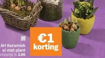 Aanbieding: Keramiek ei met plant