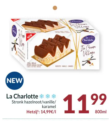 Promotie: Ice Cream Village