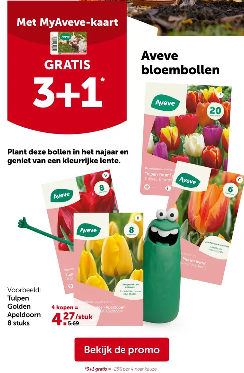 Promotie: Bloembollen