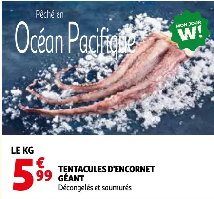 Promotie: Tentacules d'encornet géant