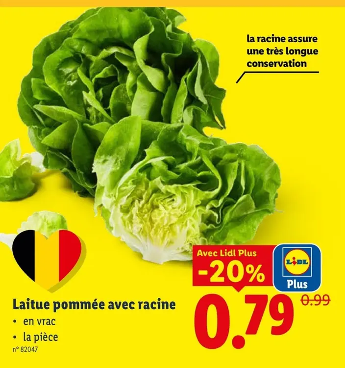 Offre: Laitue pommée avec racine