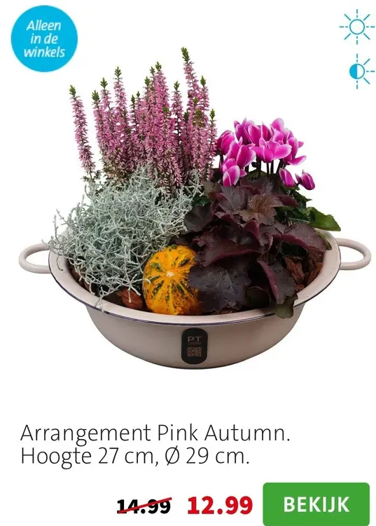 Aanbieding: Arrangement Pink Autumn