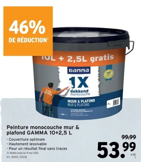 Offre: Peinture monocouche mur & plafond