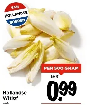 Aanbieding: Hollandse Witlof