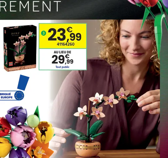 Offre: Orchid