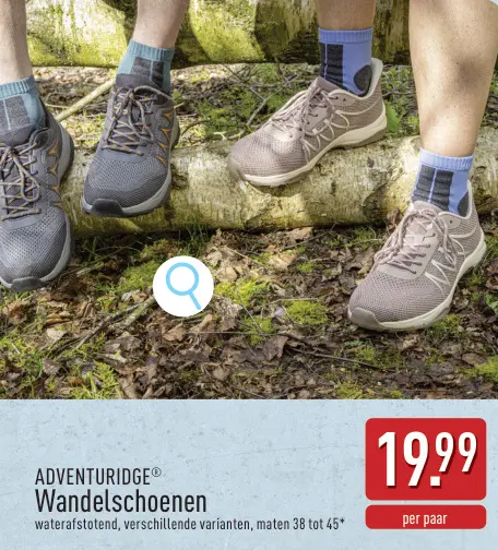 Promotie: Wandelschoenen