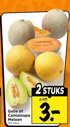 Galia of Cantaloupe Meloen