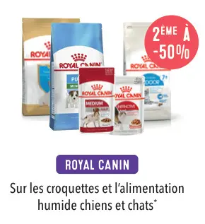 Offre: Croquettes et l'alimentation humide chiens et chats