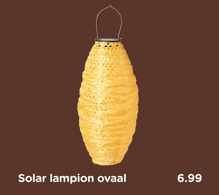 Aanbieding: Solar lampion ovaal