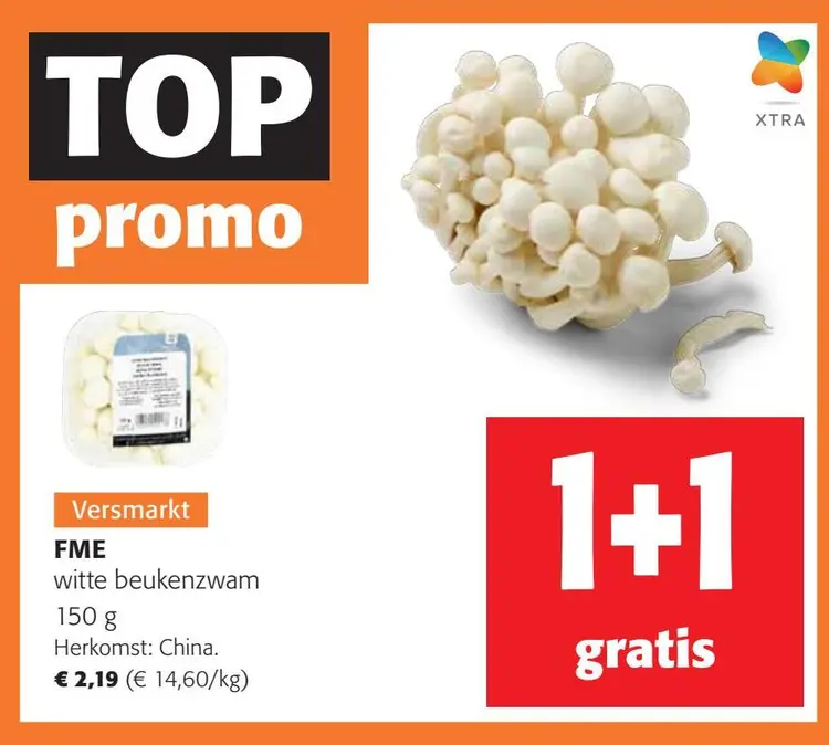 Aanbieding: witte beukenzwam