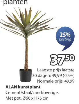 Promotie: ALAN kunstplant