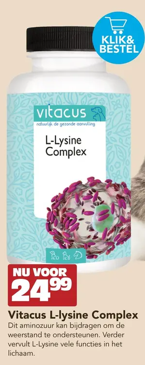 Aanbieding: Vitacus L-lysine Complex