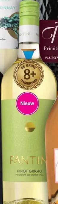 Promotie: Fantini Pinot Grigio