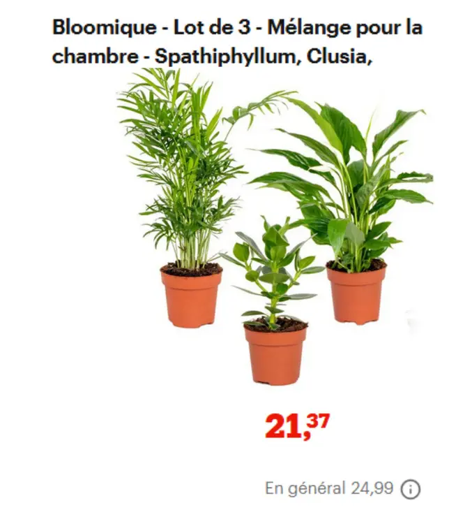 Offre: Bloomique - Lot de 3 - Mélange pour la chambre