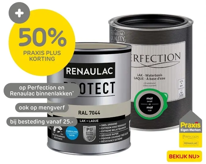 Aanbieding: Perfection and Renaulac interior paints
