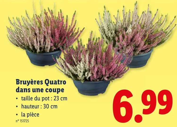 Offre: Bruyères Quatro