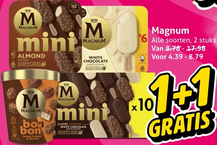 Aanbieding: IJs