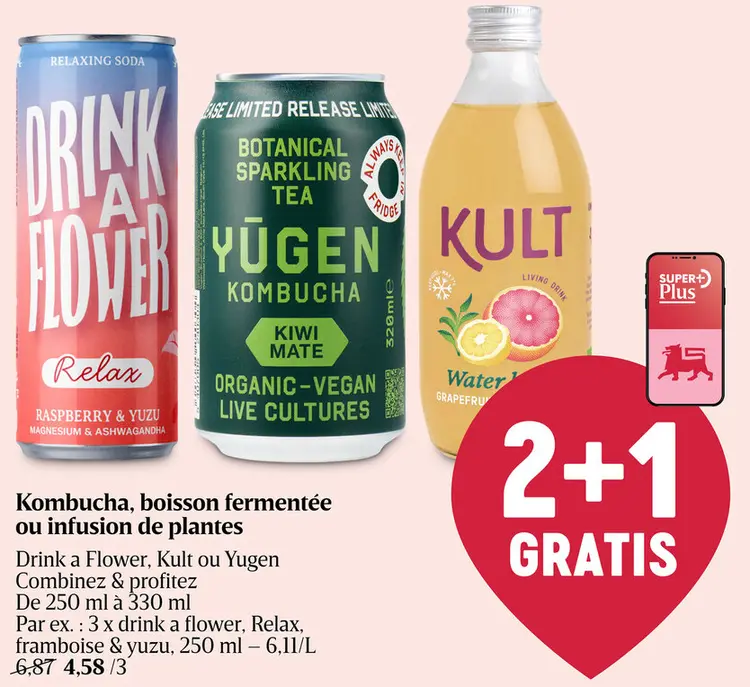 Offre: Kombucha, boisson fermentée ou infusion de pl