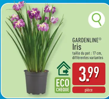 Offre: Iris