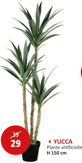 Offre: YUCCA Plante artificielle