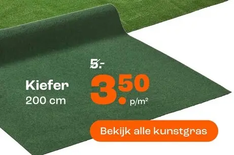 Promotie: Kiefer
