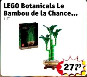 Offre: LEGO Botanicals Le Bambou de la Chance