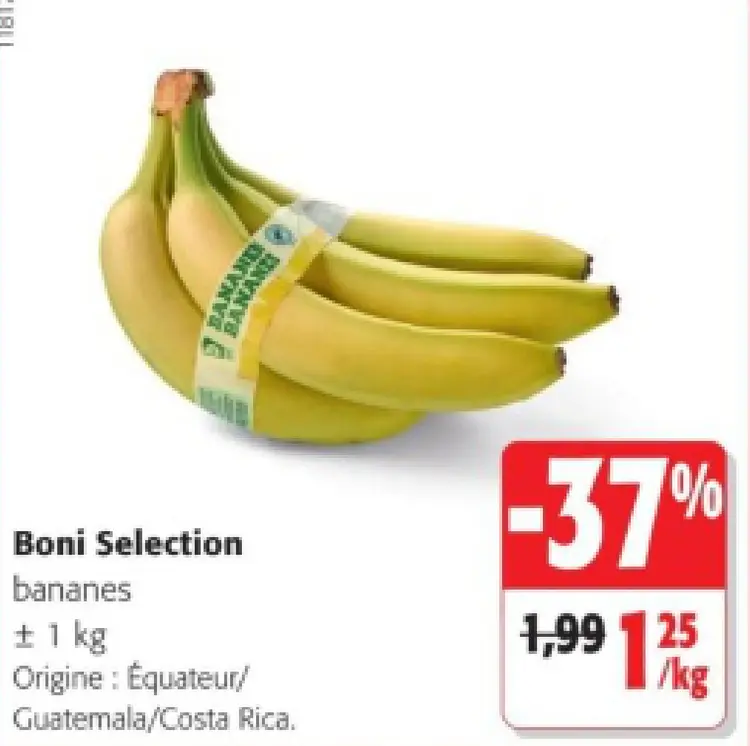 Offre: bananes