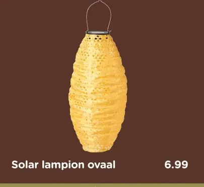 Aanbieding: Solar lampion ovaal